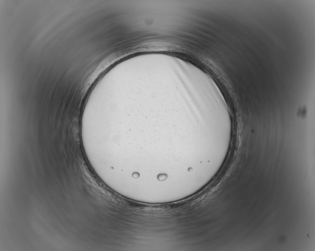 X0000115731465200912101440