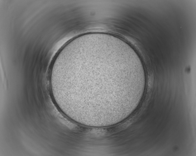 X0000115731466200912101440