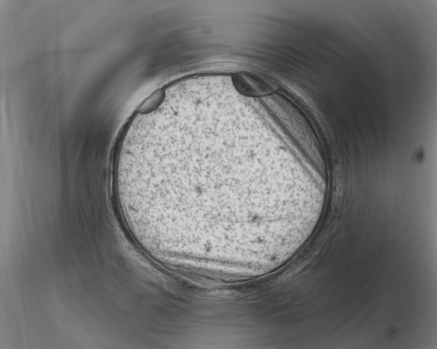 X0000115731467200912101440