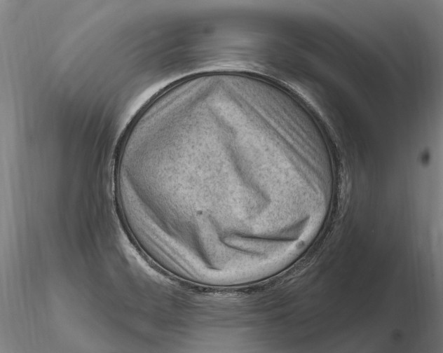 X0000115731468200912101440