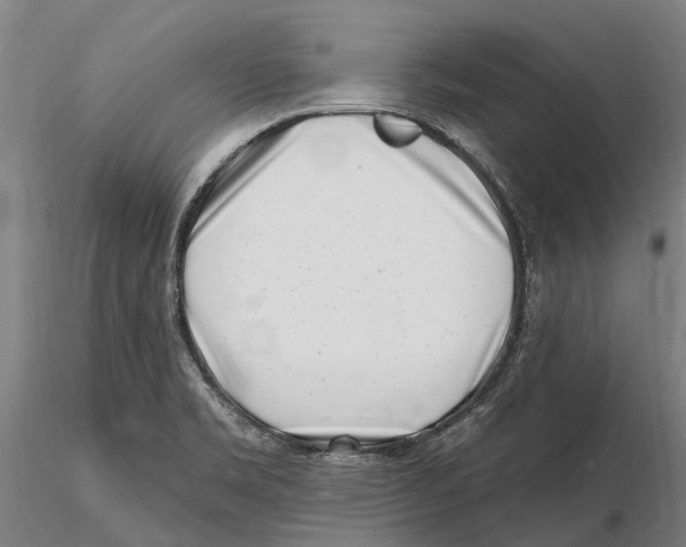 X0000115731469200912101440