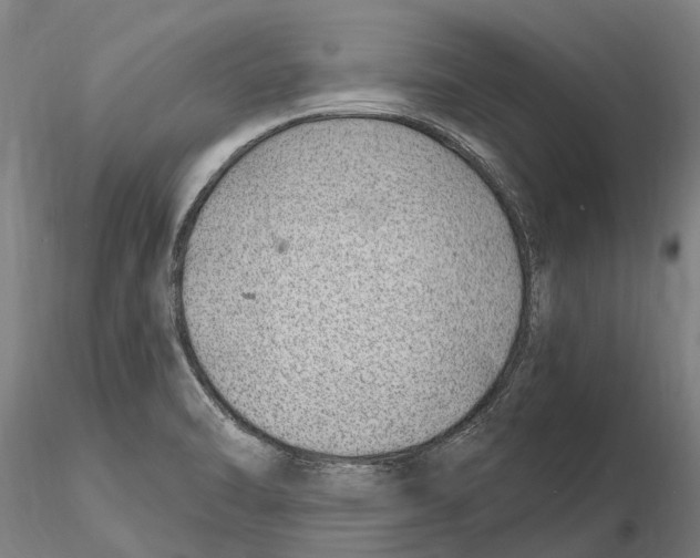 X0000115731470200912101440