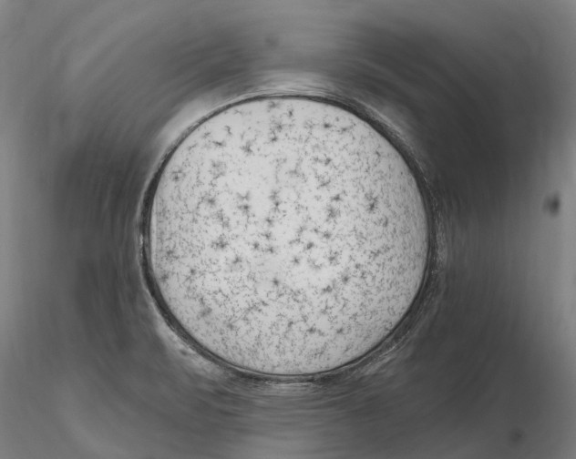 X0000115731471200912101440