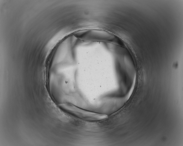 X0000115731472200912101440