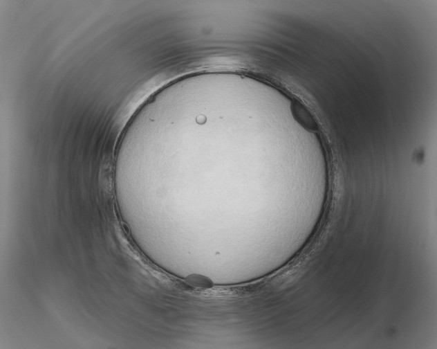 X0000115731473200912101440