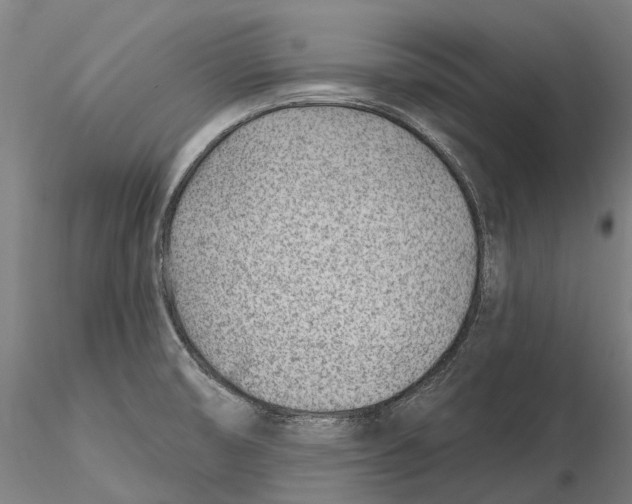 X0000115731474200912101440