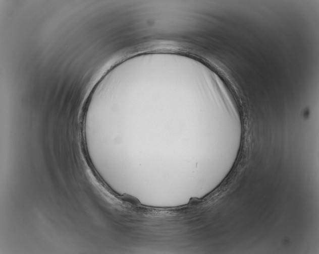 X0000115731475200912101440