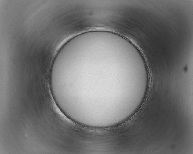 X0000115731476200912101440
