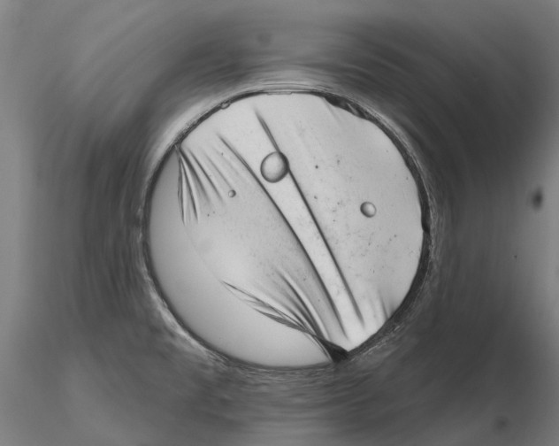 X0000115731477200912101440