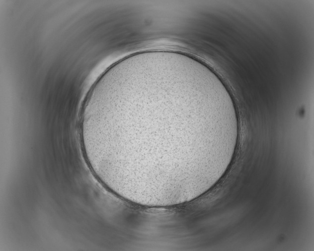 X0000115731478200912101440