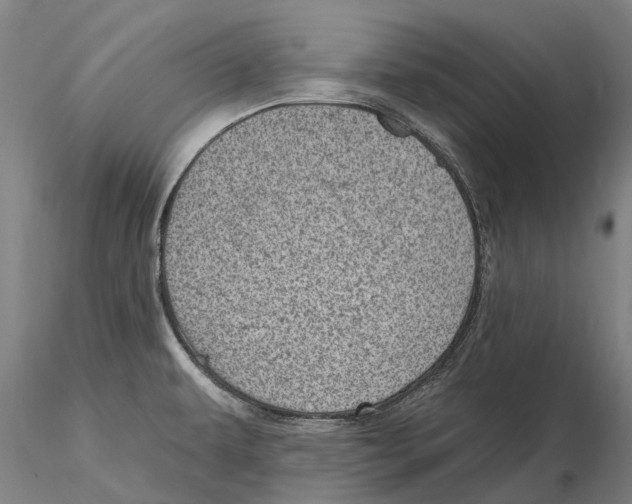 X0000115731479200912101440
