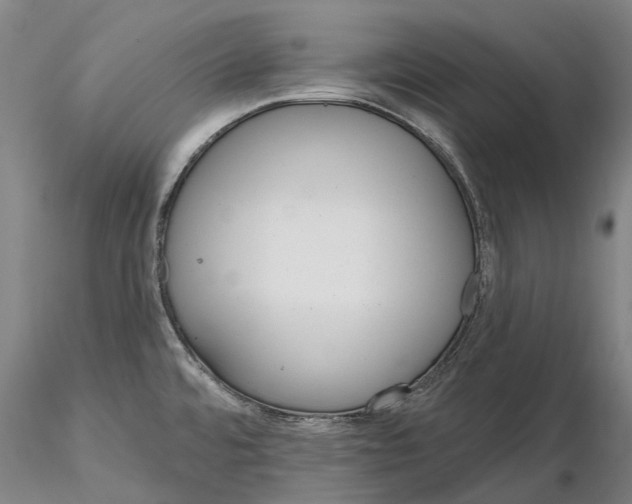X0000115731480200912101440