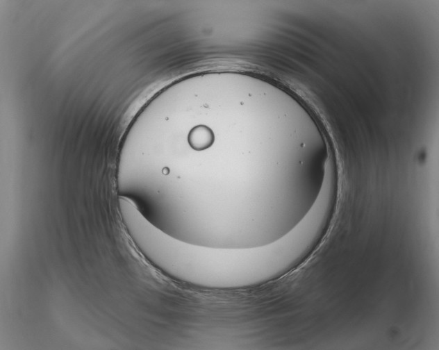 X0000115731481200912101440