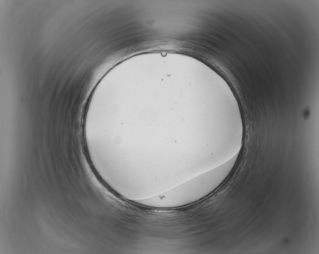 X0000115731483200912101440