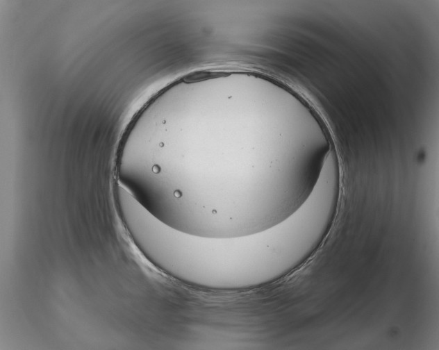 X0000115731485200912101440