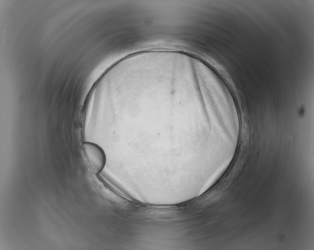 X0000115731486200912101440