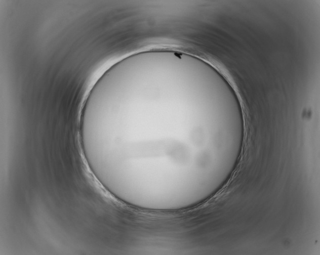 X0000115731488200912101440