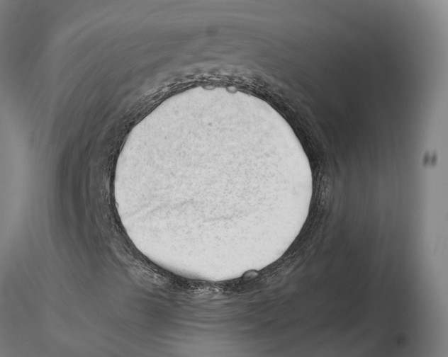 X0000115731489200912101439