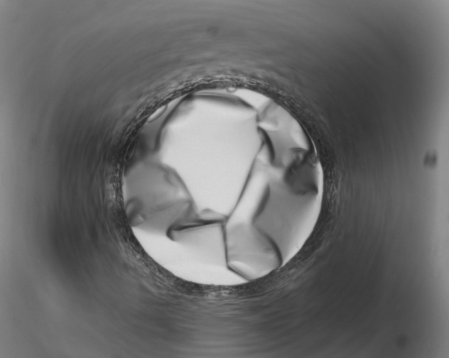 X0000115731490200912101439