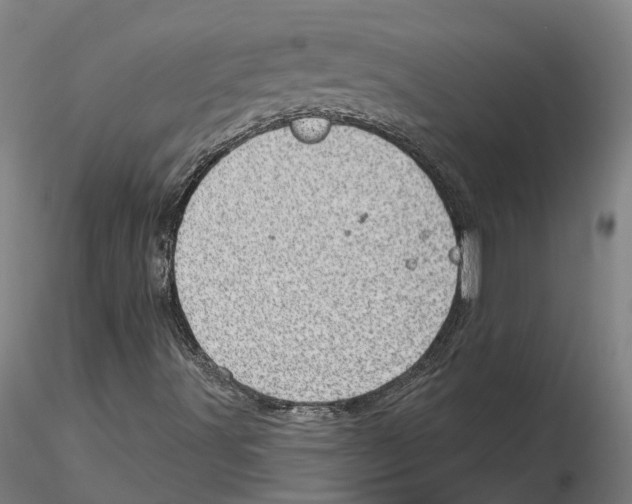 X0000115731491200912101439