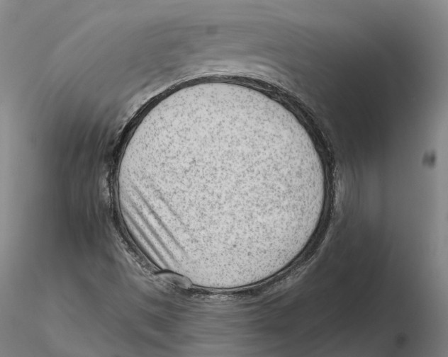 X0000115731497200912101439