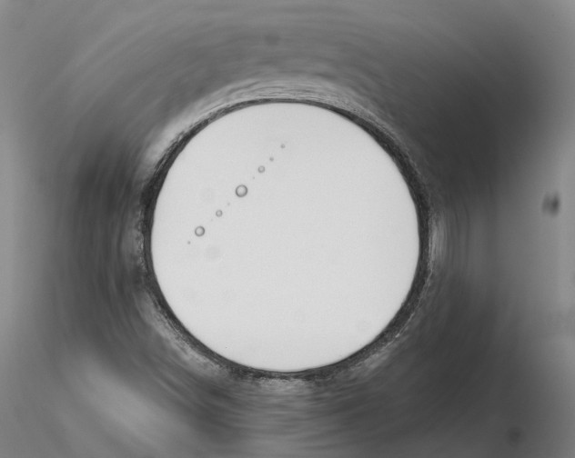 X0000115731498200912101439