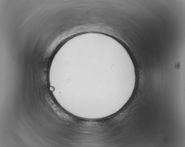 X0000115731499200912101439