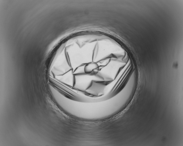 X0000115731502200912101439
