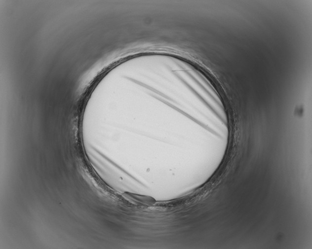X0000115731503200912101439