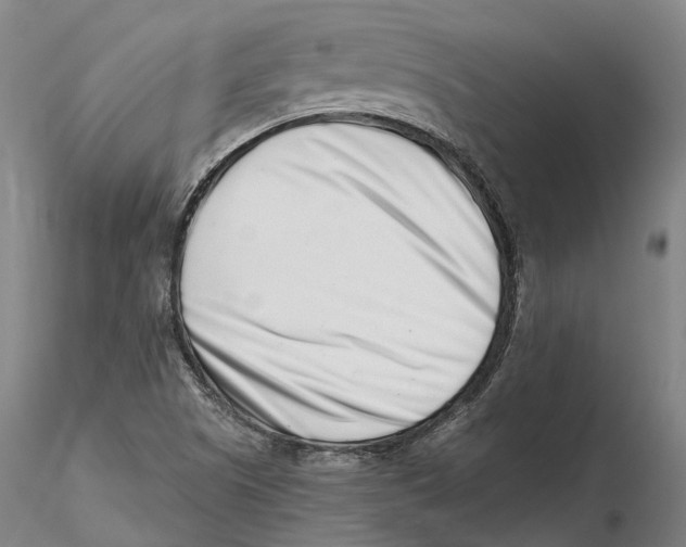 X0000115731505200912101439