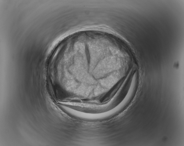 X0000115731506200912101439