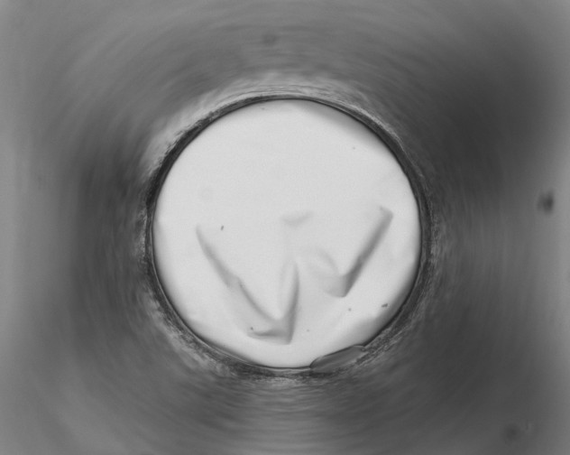 X0000115731507200912101439
