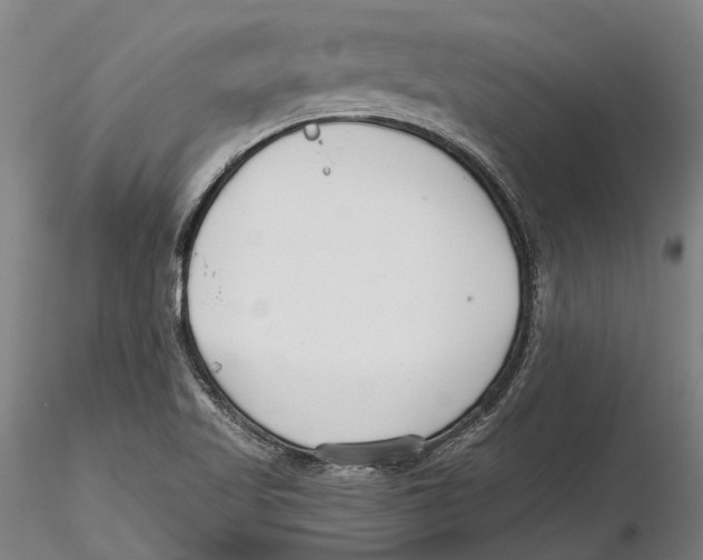 X0000115731509200912101439