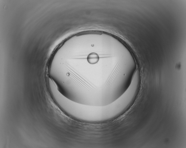 X0000115731510200912101439
