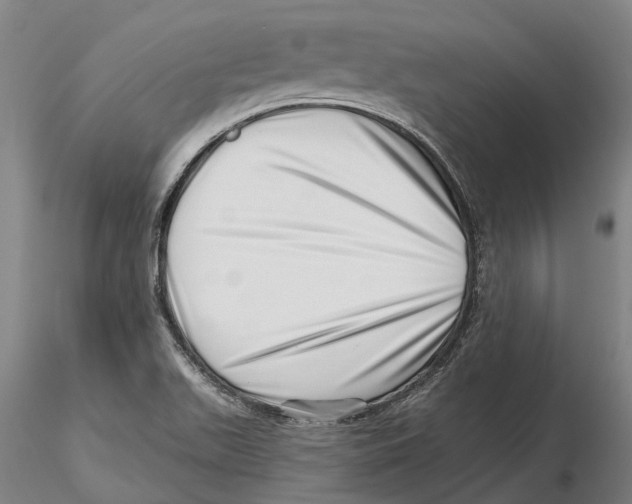 X0000115731511200912101439