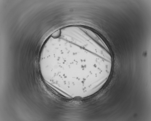 X0000115731513200912101439