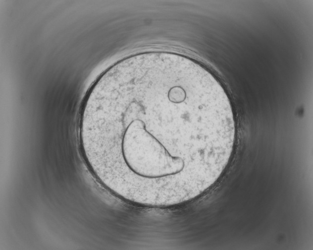 X0000115731514200912101439