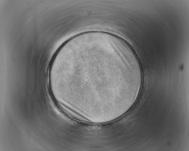 X0000115731515200912101439