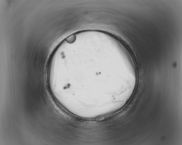 X0000115731517200912101439
