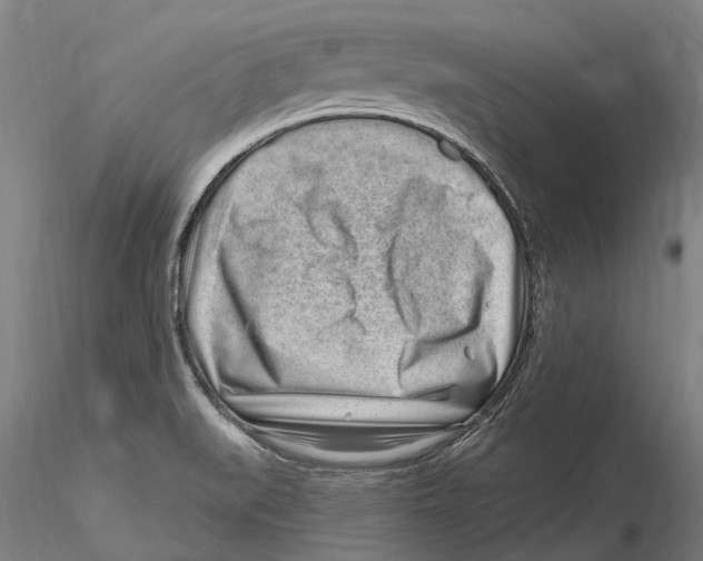 X0000115731519200912101439