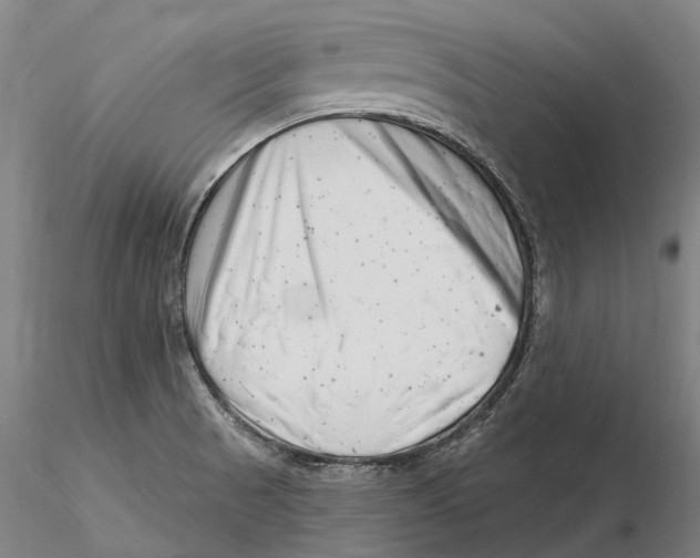 X0000115731521200912101440