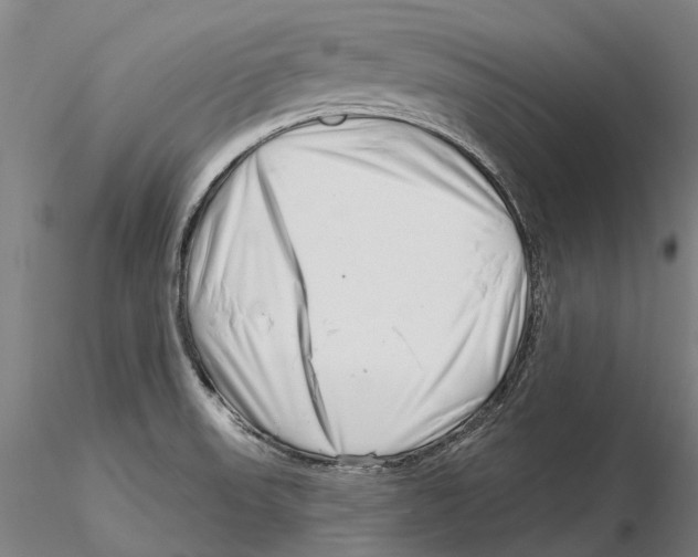 X0000115731523200912101440