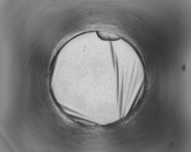 X0000115731525200912101440