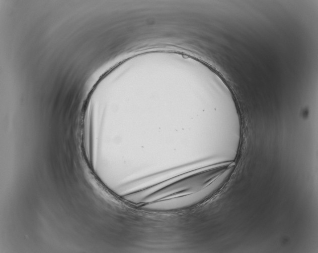 X0000115731526200912101440