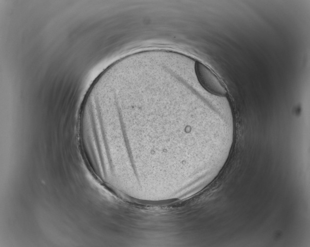 X0000115731527200912101440