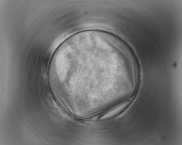 X0000115731529200912101440