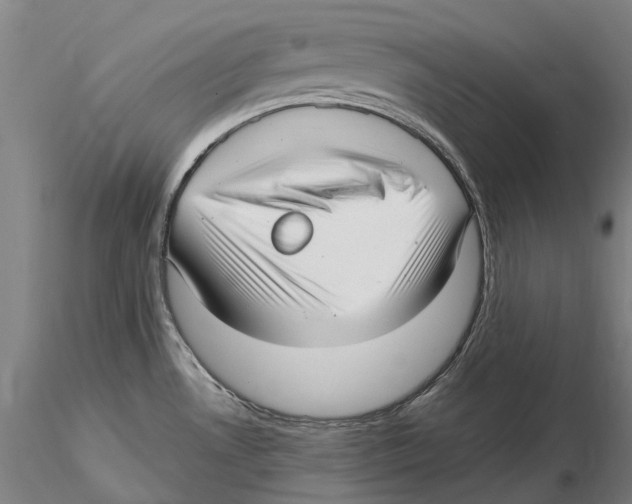 X0000115731530200912101440