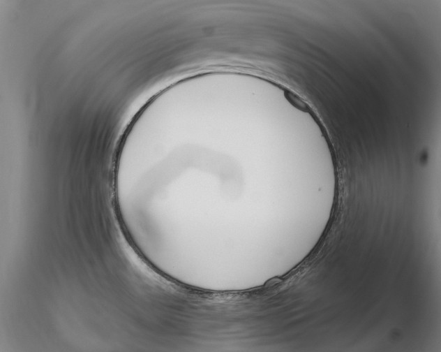 X0000115731531200912101440