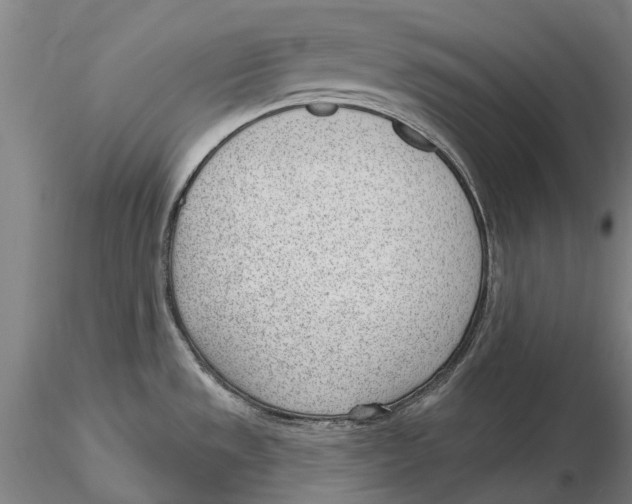 X0000115731533200912101440