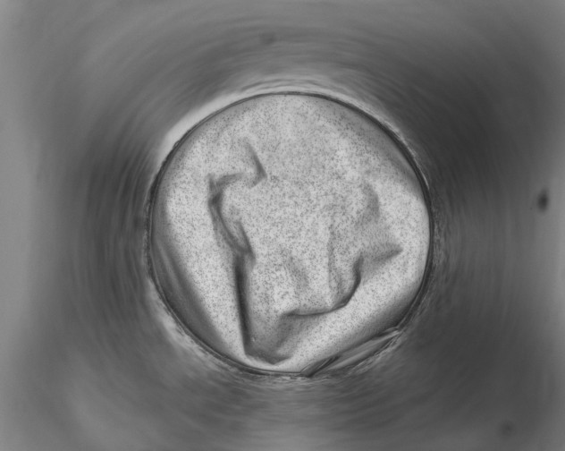 X0000115731534200912101440